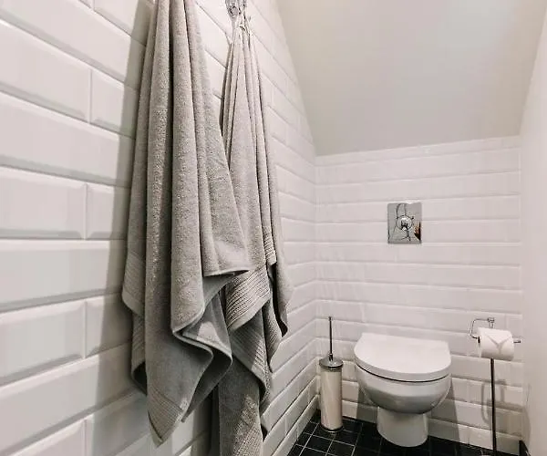 Lenderi Luxury With Sauna 公寓 塔林